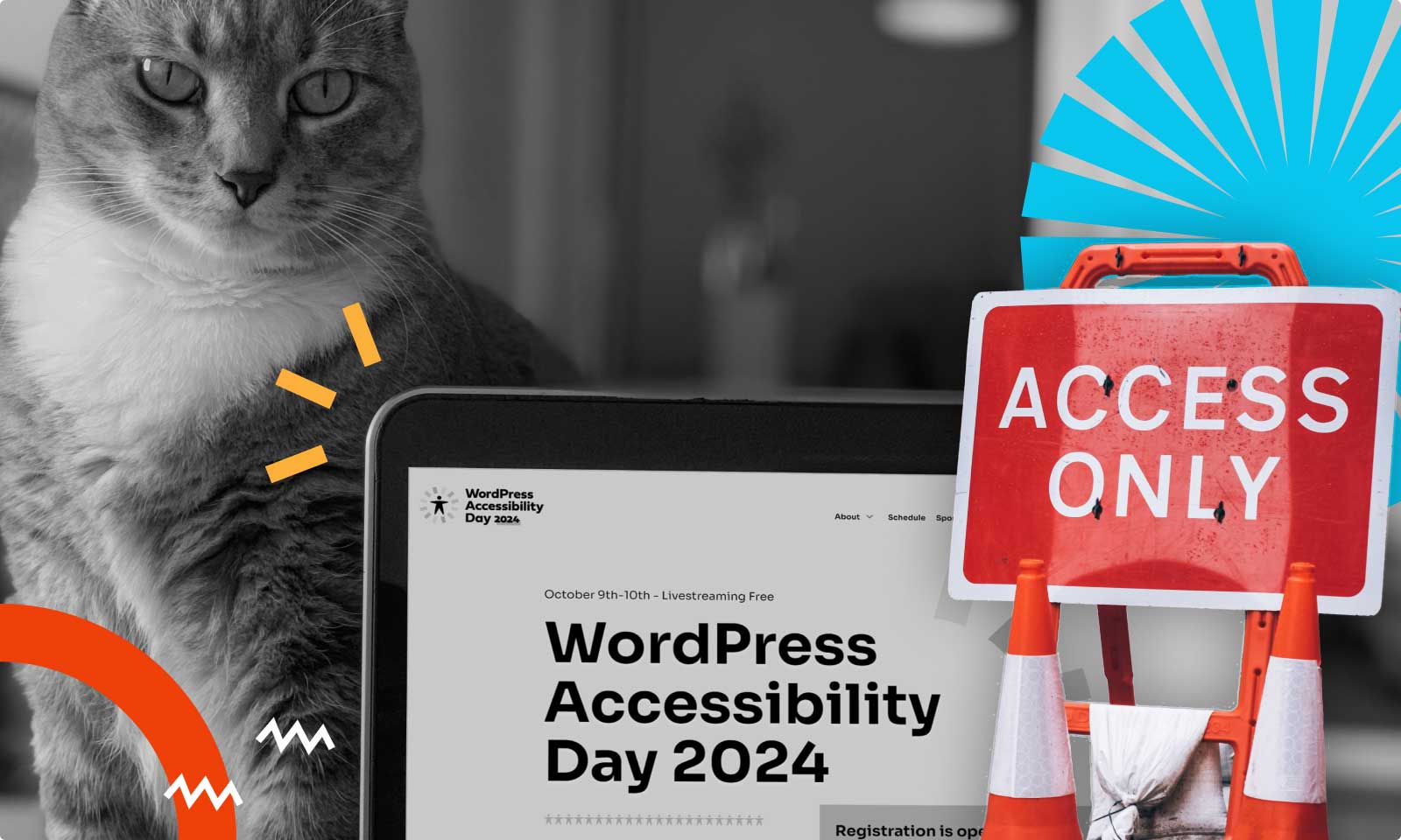 Dzień Dostępności WordPress 2024