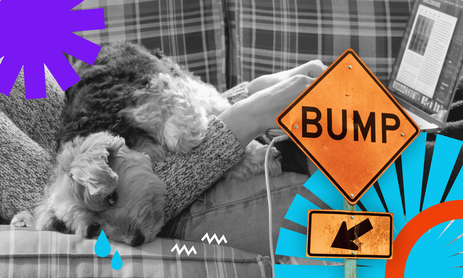 Obrazek ilustracyjny dla artykułu "koszt przestoju witryny internetowej"